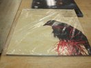 Transatlanticism [LP] by Death Cab for Cutie (Vinyl)