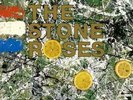 THE STONE ROSES : THE STONE ROSES : BRAND NEW & SEALED 180gram VINYL