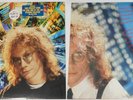 Warren Zevon - Transverse City - original U.S. LP vinyl
