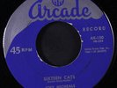 JOEY MICHAELS: Sixteen Cats / Too Blue To Cry 45 Rockabilly
