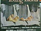 Lee Morgan/Wayne Shorter-The Young Lions-Rare Orig.DG Jazz LP-Stereo-Near Mint
