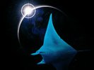 The Songs of Distant Earth by Mike Oldfield NEW Vinyl LP, Oct-2014, Rhino Record