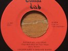 Legionaire's Disease Band -Rather See You Dead- Punk KBD 45 on Lunar Lab - Hear