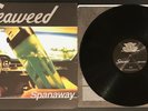Seaweed Spanaway Hollywood Records NM Promo w/sleeve