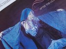 ORIGINAL 1981 STEVIE NICKS GLITTER FADES 7