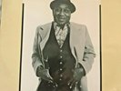 Muddy Waters-Hard Again  (Vinyl, Jul-2012, Music on Vinyl)