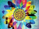 The Dandelion Set - A Thousand Strands 1975-2015 (Vinyl)