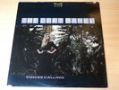 EX   The Left Banke/Voices Calling/1986 Bam Caruso Records LP