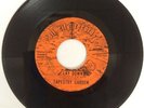 TAPESTRY GARDEN   Lay Down /1-2-3   OBSCURE US pop psych 45 garage soul 7