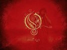 Still Life by Opeth (180gm 2 Vinyl LP, Picture Disc, 2017 Peaceville, Germany)