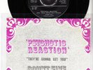 60s Psych Acid Pop COUNT FIVE psychotic reaction 1966 Rare Dutch 7