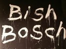 WALKER, Scott - Bish Bosch - Vinyl (180 gram vinyl 2xLP + CD + booklet)