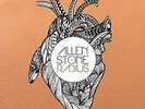STONE,ALLEN-RADIUS (DLX) (US IMPORT) VINYL LP NEW