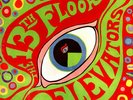 13th Floor Elevators - Psychedelic Sounds LP Vinyl Album - Roky Erickson Record