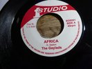 The Gaylads - Africa  7