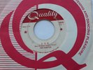 THE HAUNTED (HUNTED) 1-2-5 CANADA 1966 1st Press GARAGE PSYCH PUNK QUALITY 45