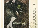 RAZORLIGHT Olympus Sleeping LP VINYL Europe Proper 2018 12 Track In Autographed