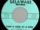 HEAR IT 60's Garage Rocker 45 rpm record The Thunderbirds 