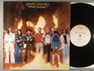 Lynyrd Skynyrd  Street Survivors    Southern Rock   Flame Cover