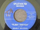 DEARLY BELOVED Flight Thirteen / Merry Go Round 1967 Garage Psych 45 VG+ RARE