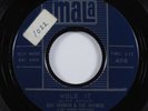Rockabilly Garage 45 RAY VERNON & THE RAYMEN Hold It MALA link wray HEAR