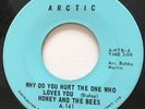 NORTHERN SOUL Honey & The Bees WHY DO YOU HURT THE ONE Arctic 45 rare Canadian