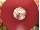 Circa Survive Appendage Vinyl Limited Edition Oxblood Red Pressing