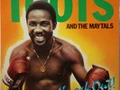 TOOTS & THE MAYTALS – Knock Out 1981 MANGO LP