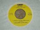 Funk/Deep Soul 45 LYNN MINOR & BAND Hesitate One Time For Me TAMMY NM RARE
