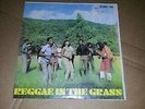 REGGAE IN THE GRASS (STUDIO ONE LP RE) 1 coxsone john holt bob andy marcia
