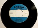 ANGIE & THE CITATIONS Headache 45 Angela RARE CRAZED PA INSTRO GARAGE SURF HEAR