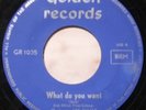 RARE 45t 7'' LES NAJAS WHAT DO YOU WANT BELGIUM BEAT GOLDEN RECORDS 196? BE+