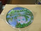 METALLICA  CREEPING DEATH  PICTURE ALBUM