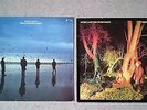 Echo and the Bunnymen Vinyl