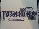 Prodigy, The - Experience / 2LP (XLLP 110)