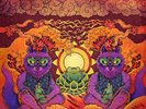 Zefur Wolves-Truth Is In The Stars VINYL NEW