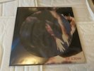Siouxsie & The Banshees - The Scream - LP PICTURE DISC (2016) *NEW SEALED*