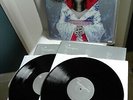 BJOERK BJÖRK limited numbered 0012/1.000 DMM Vinyl 2LP Homogenic (2008)