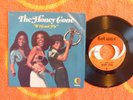 HONEY CONE If I Can't Fly 45 rpm PROMO w/ PICTURE SLEEVE Hot Wax 1973 Soul