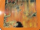 Slayer Hell Awaits Picture Disc LP 1985