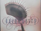 HEIDI BERRY SAME LP UK 1993 4AD  ex++