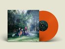 BIG THIEF U.F.O.F. NEW SEALED LTD COLOURED VINYL LP IN STOCK