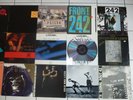 Front 242, Skinny Puppy, A Grumh, DAF, Anne Clark uam.
