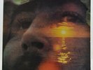 DAVID CROSBY -  If I Could Only Remember My Name - Atlantic 50.005 - LP