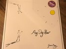 Joan Baez Any Day Now PP Vanguard VSD 79306/7 180 Gram Analogue Audiophile 2 LP