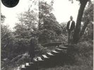 Timber Timbre Timber Timbre - Green Vinyl + Shrin... UK vinyl LP  record