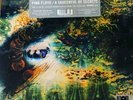Pink Floyd A Saucerful of Secrets RSD Vinyl New MONO