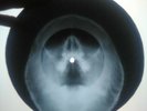 Doors - Strange Days X-RAY USSR ROENTGEN Bones Record Skull