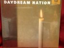 Sonic Youth Daydream Nation 12