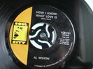 AL WILSON    NOW I KNOW WHAT LOVE IS      Soul City 761        Northern Soul
